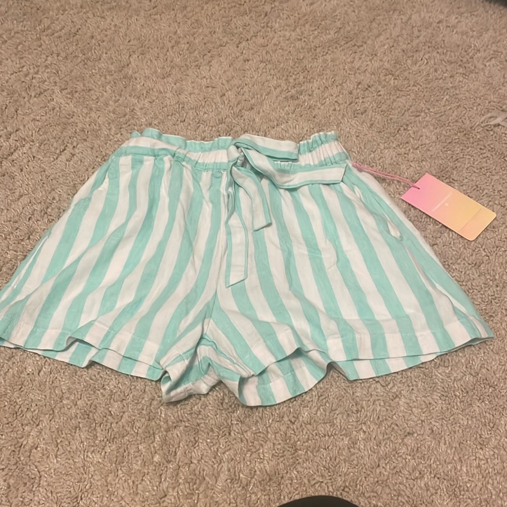 stoney clover x target green striped shorts